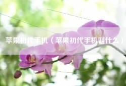苹果初代手机（苹果初代手机叫什么）