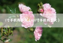 5寸手机有多大（6.55寸手机有多大）
