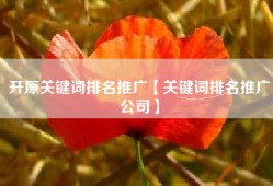 开原关键词排名推广【关键词排名推广公司】