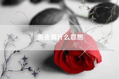 贵金属什么意思