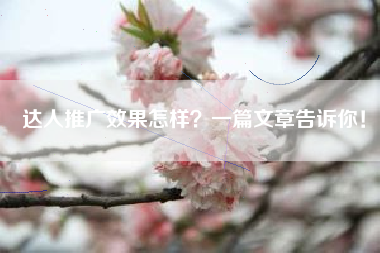 达人推广效果怎样？一篇文章告诉你！