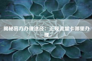 揭秘官方办理途径：正规流量卡哪里办理