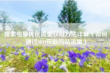 搜索引擎优化流量获取方法详解（如何通过SEO获取网站流量）