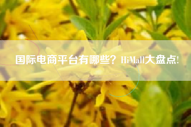 国际电商平台有哪些？HiMall大盘点!
