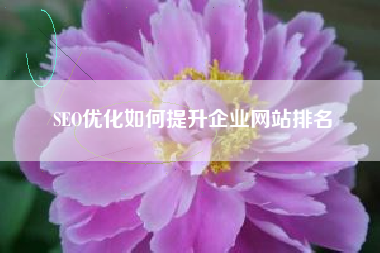 SEO优化如何提升企业网站排名