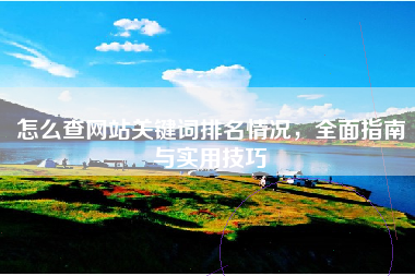 怎么查网站关键词排名情况，全面指南与实用技巧