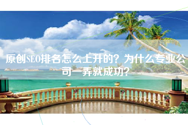 原创SEO排名怎么上升的？为什么专业公司一弄就成功？