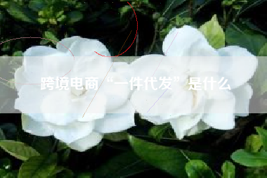 跨境电商“一件代发”是什么
