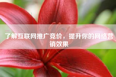 了解互联网推广竞价，提升你的网络营销效果