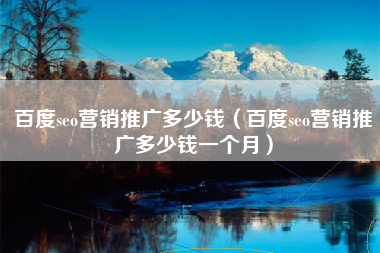 百度seo营销推广多少钱（百度seo营销推广多少钱一个月）