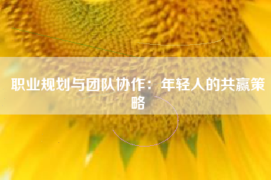 职业规划与团队协作：年轻人的共赢策略