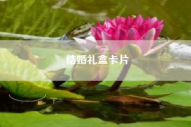 结婚礼盒卡片