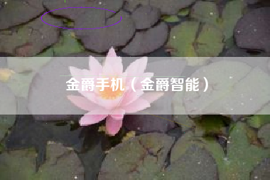 金爵手机（金爵智能）