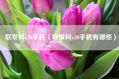 联发科x30手机（联发科x30手机有哪些）