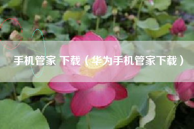 手机管家 下载（华为手机管家下载）