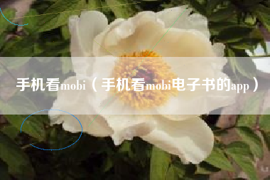 手机看mobi（手机看mobi电子书的app）