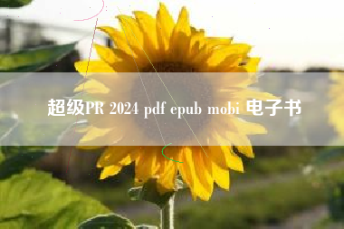 超级PR 2024 pdf epub mobi 电子书