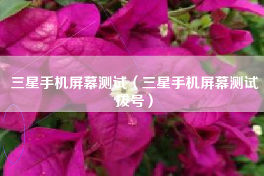 三星手机屏幕测试（三星手机屏幕测试拨号）
