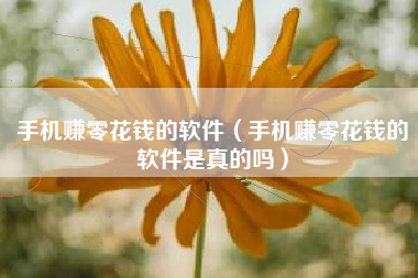 手机赚零花钱的软件（手机赚零花钱的软件是真的吗）