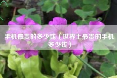 手机最贵的多少钱（世界上最贵的手机多少钱）