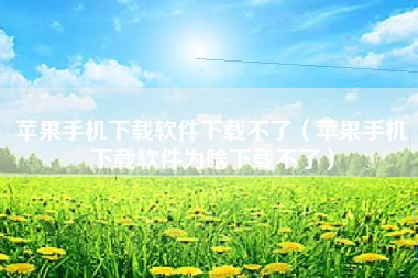 苹果手机下载软件下载不了（苹果手机下载软件为啥下载不了）