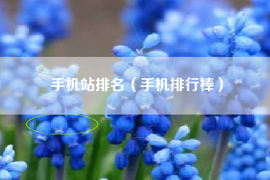 手机站排名（手机排行棒）