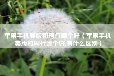 苹果手机美版和国行哪个好（苹果手机美版和国行哪个好,有什么区别）