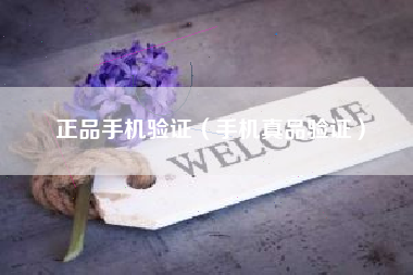 正品手机验证（手机真品验证）