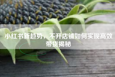小红书新趋势，不开店铺如何实现高效带货揭秘