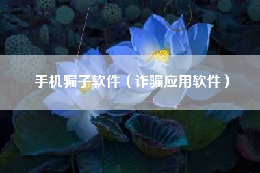 手机骗子软件（诈骗应用软件）