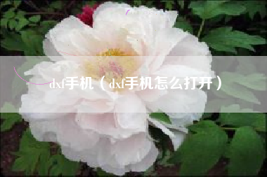 dxf手机（dxf手机怎么打开）