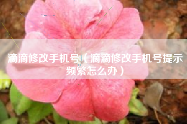 滴滴修改手机号（滴滴修改手机号提示频繁怎么办）