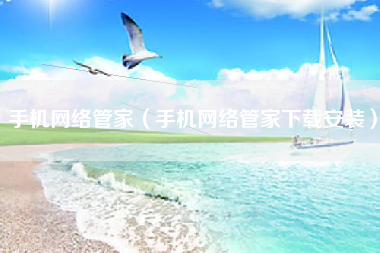 手机网络管家（手机网络管家下载安装）