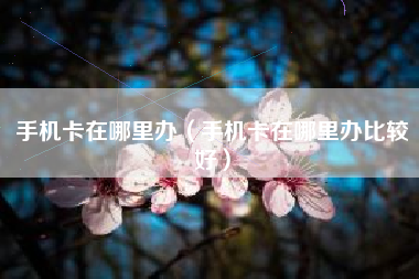 手机卡在哪里办（手机卡在哪里办比较好）