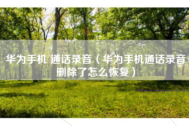 华为手机 通话录音（华为手机通话录音删除了怎么恢复）