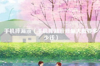 手机摔漏液（手机摔漏液修复大概要多少钱）
