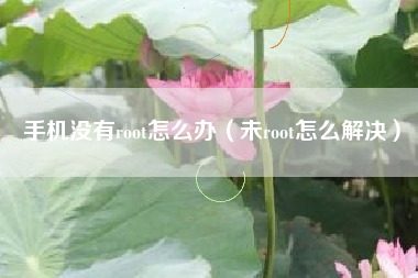 手机没有root怎么办（未root怎么解决）