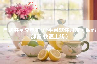 自助共享充电桩APP平台软件开发（源码部署 快速上线）
